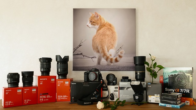 fotografie